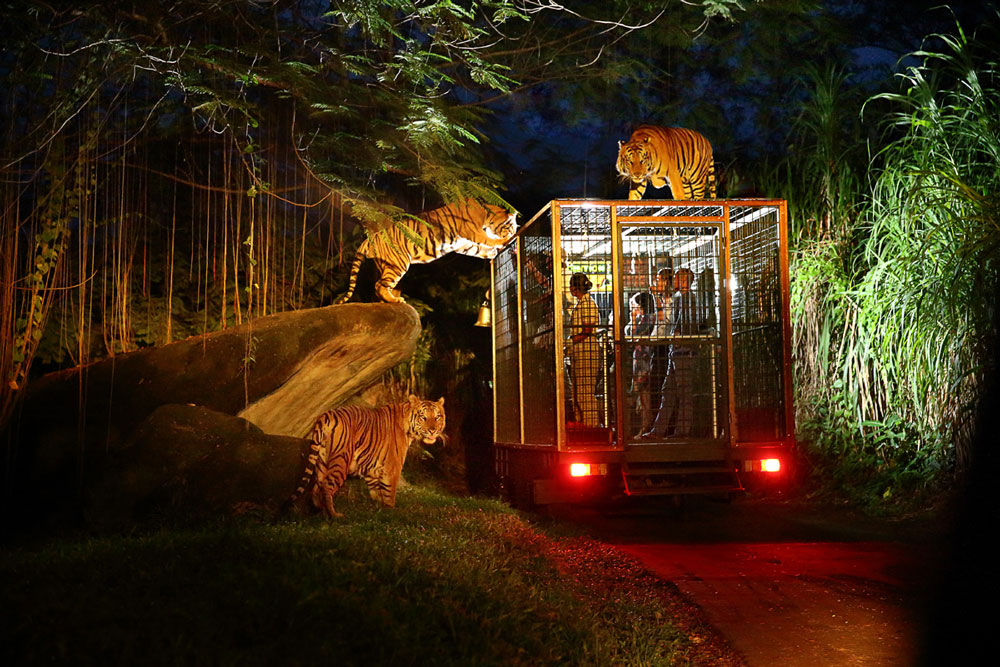 Singapore Night Safari